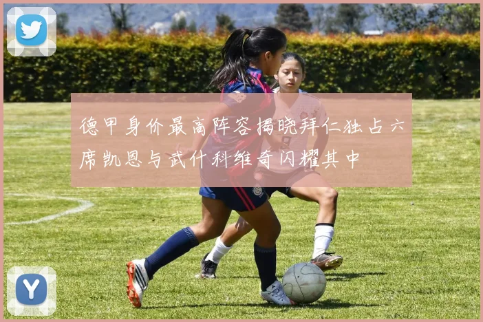 德甲身价最高阵容揭晓拜仁独占六席凯恩与武什科维奇闪耀其中